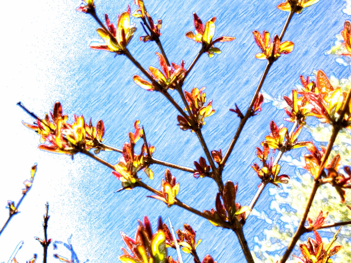 Primeros resultados de nuestro estudio sobre el confinamiento: El 70% de padres y madres ha aumentado la comunicación positiva con sus hijos, según un&nbsp;estudio